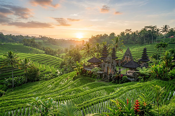 Bali Flights